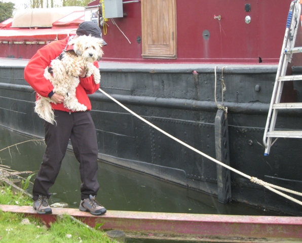 Walking the plank